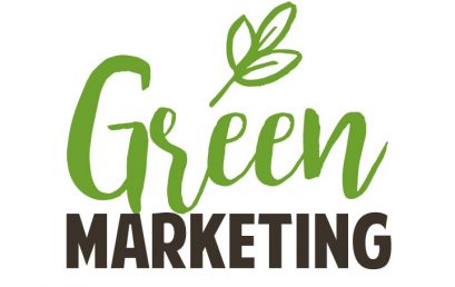 Marketing verde como estrategia para la generación de valor en las Pymes
