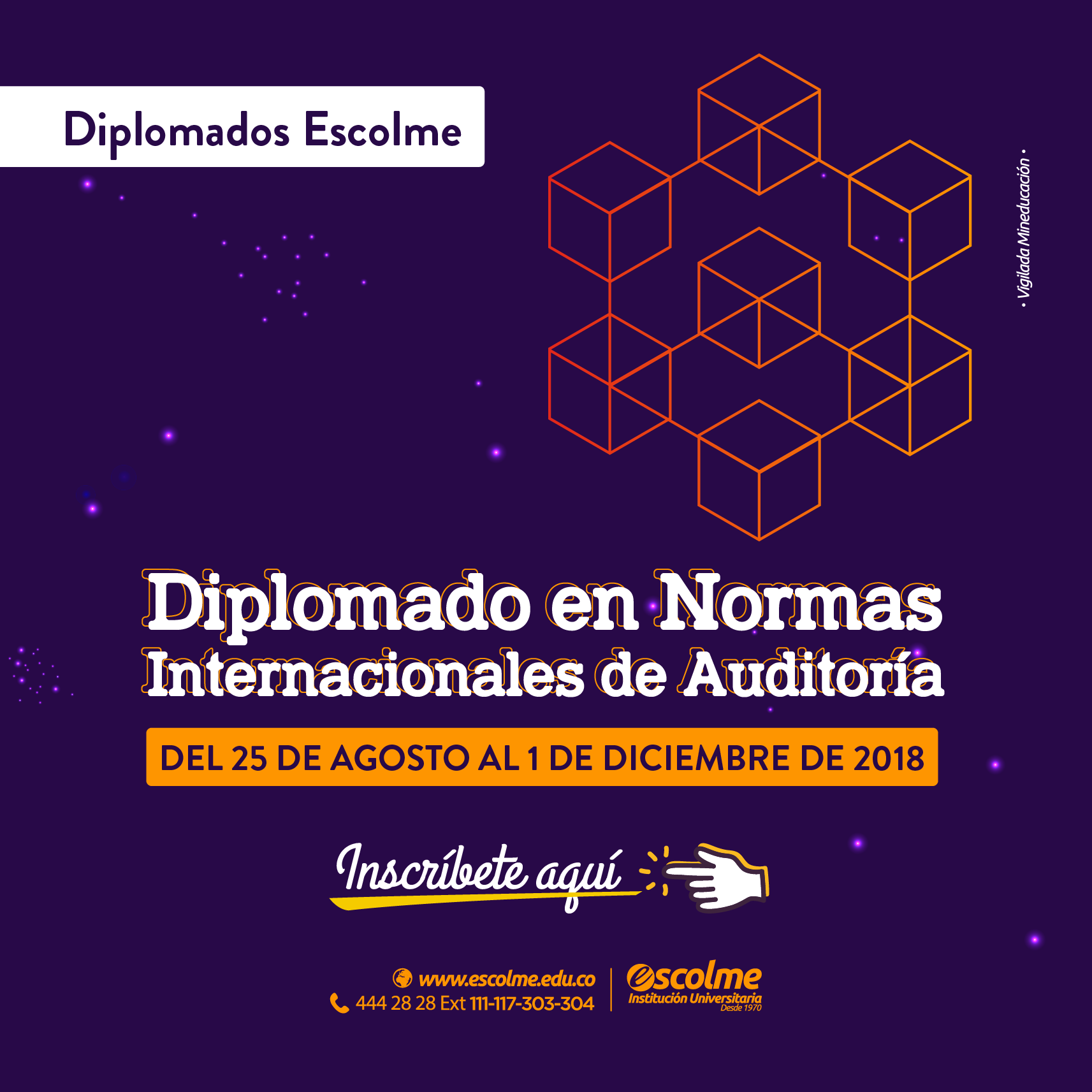 Diplomado en Normas internacionales de auditoría